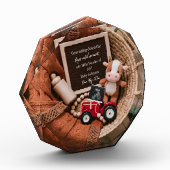 boerderij thema geweven mandje zwangerschapsaankon fotoblokken (Links)