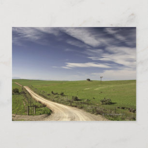 Boerderij twijngaarden tussen tarwevelden, Caledon Briefkaart