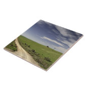 Boerderij twijngaarden tussen tarwevelden, Caledon Tegeltje (Zijkant)