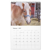 Boerderij van Barnyard Bliss Animal Kalender (Feb 2027)