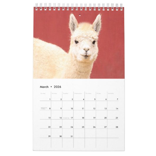Boerderij van Barnyard Bliss Animal Kalender (Mar 2026)