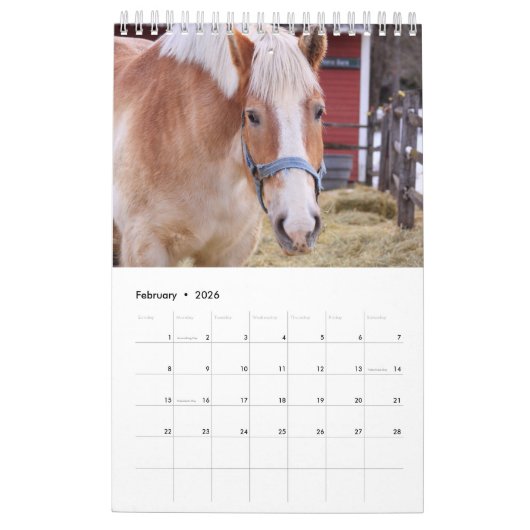 Boerderij van Barnyard Bliss Animal Kalender (Feb 2026)
