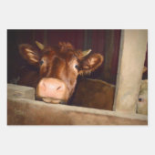 Boerderij van Cow Rustic Brown Country Barn Funny Inpakpapier Vel (Voorkant)