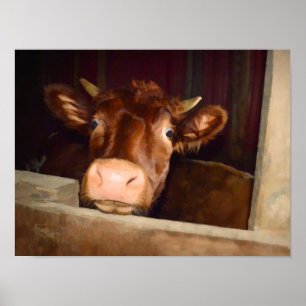 Boerderij van Cow Rustic Brown Country Barn Funny Poster