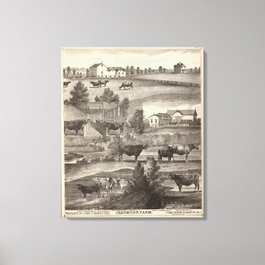 Boerderij van de Cranmoor, Toms, NJ Canvas Afdruk (Voorkant)