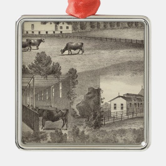 Boerderij van de Cranmoor, Toms, NJ Metalen Ornament (Voorkant)