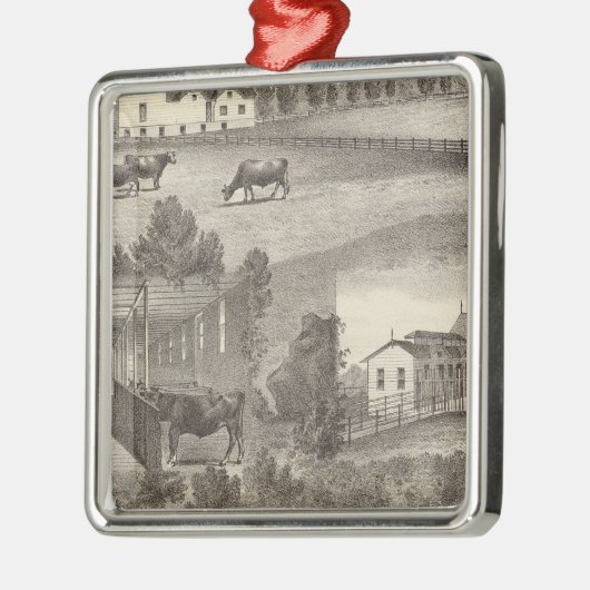 Boerderij van de Cranmoor, Toms, NJ Metalen Ornament (Links)