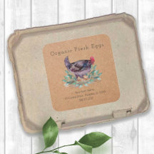 Boerderij van de familie Fresh Organic Chicken Egg