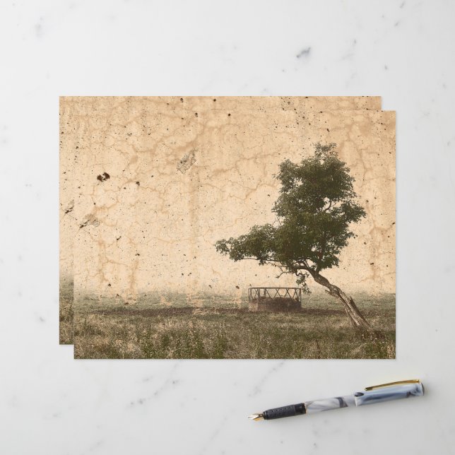  Boerderij van de landboom Rustic Beige Antiek (Voorkant / Achterkant in situ)