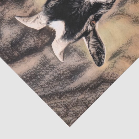  Boerderij van geiten Tissuepapier (Detail)