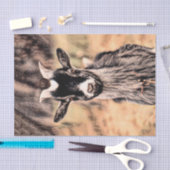  Boerderij van geiten Tissuepapier (Craft)