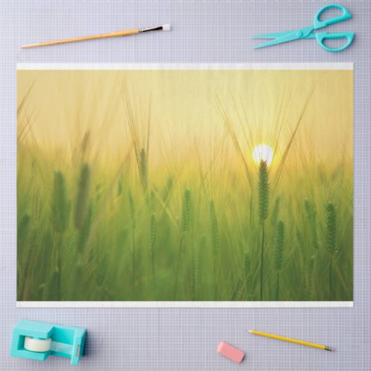 Boerderij van gerstveld - lossnijdpapier tissuepapier (Craft)