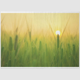 Boerderij van gerstveld - lossnijdpapier tissuepapier