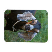 Boerderij van het rustige vrouw van geiten magneet (Horizontaal)