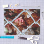 Boerderij van kippen  stijl tissuepapier (Craft)