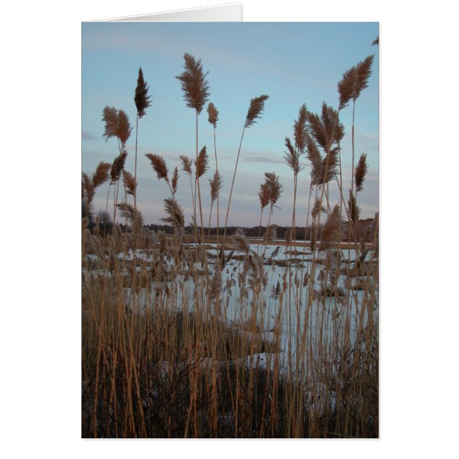 Boerderij van Laudholm (Voorkant)