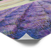 Boerderij van Lavender op San Juan door Bryn Barna Poster (Hoek)