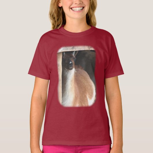  Boerderij van Llama T-shirt (Voorkant)