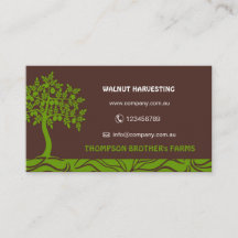 boerderij van noten, landbouw, boomgaard