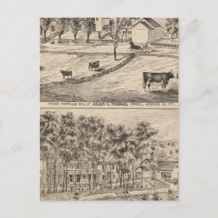 Boerderij van Orwell Vermont Briefkaart