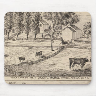 Boerderij van Orwell Vermont Muismat