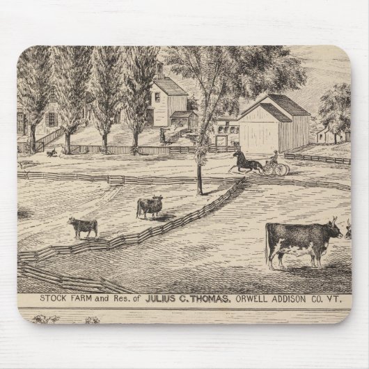 Boerderij van Orwell Vermont Muismat (Voorkant)