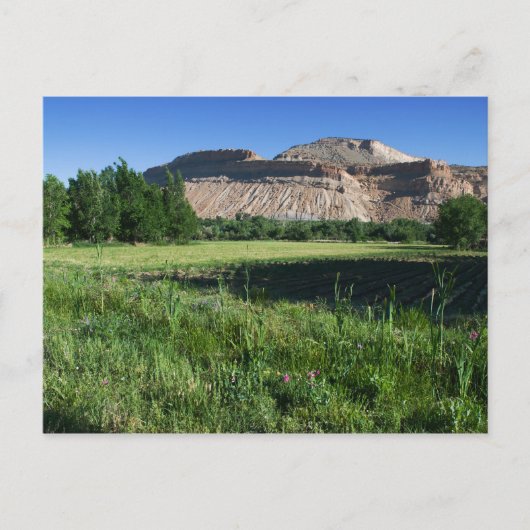 Boerderij van Palisade Briefkaart (Voorkant)