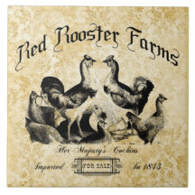  Boerderij van pluimvee