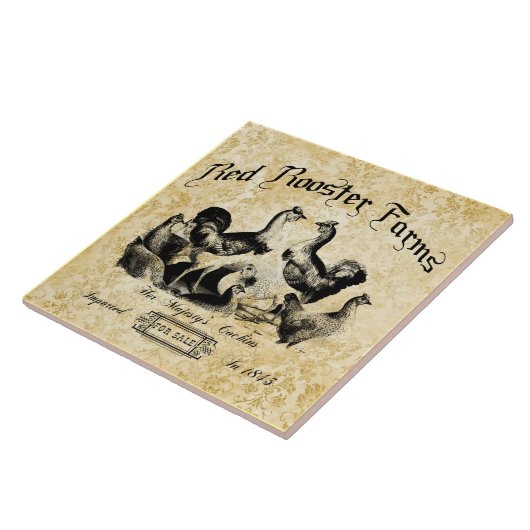 Boerderij van pluimvee Tegeltje (Zijkant)