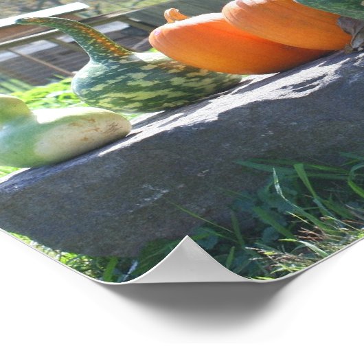 Boerderij van pompoenen en pompoenen, Herfst Poster (Hoek)