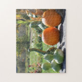 Boerderij van pompoenen en pompoenen, standaard 2  legpuzzel (Verticaal)