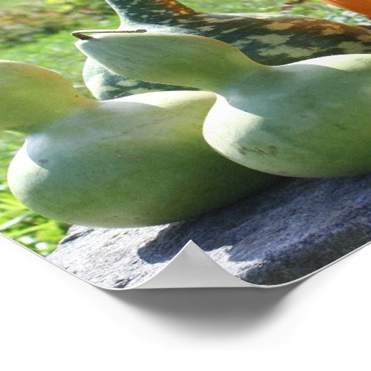 Boerderij van pompoenen en pompoenen, standaard 2  poster (Hoek)