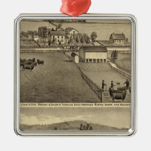 Boerderij van SA Cockayne nabij Moundsville Metalen Ornament