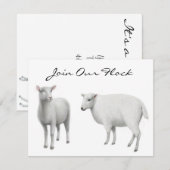 Boerderij van schapen kaart (Voorkant / Achterkant)