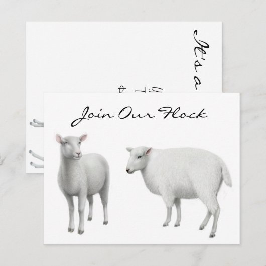 Boerderij van schapen kaart (Voorkant / Achterkant)