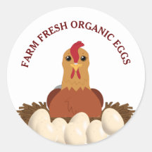 Boerderij van verse organische eieren Chicken Hen