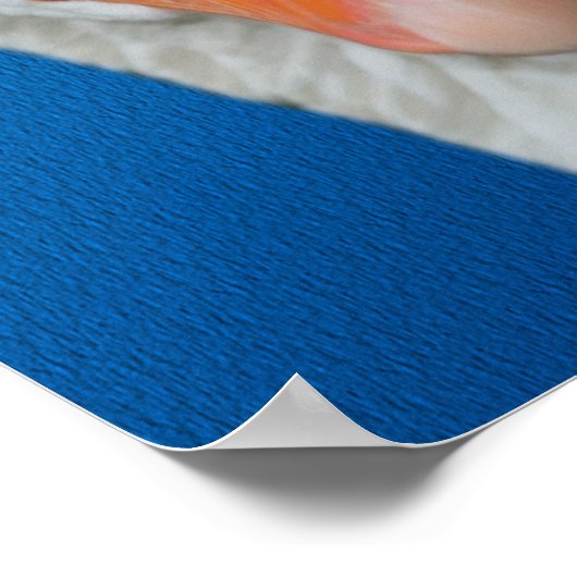 Boerderij van witte gans poster (Hoek)