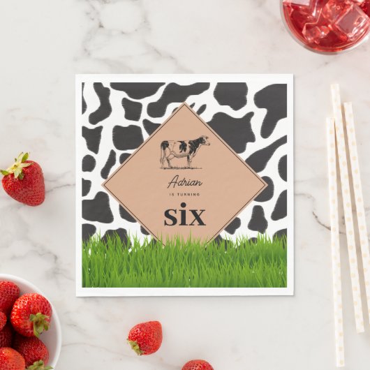 Boerderij van zwarte en witte Koe Dierensterfdag T Servet (Insitu)