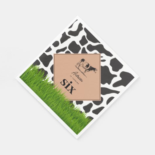 Boerderij van zwarte en witte Koe Dierensterfdag T Servet (Hoek)