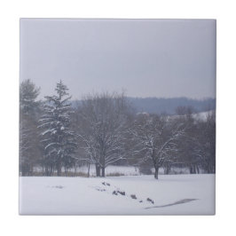 "Boerderij veld" Tegeltje