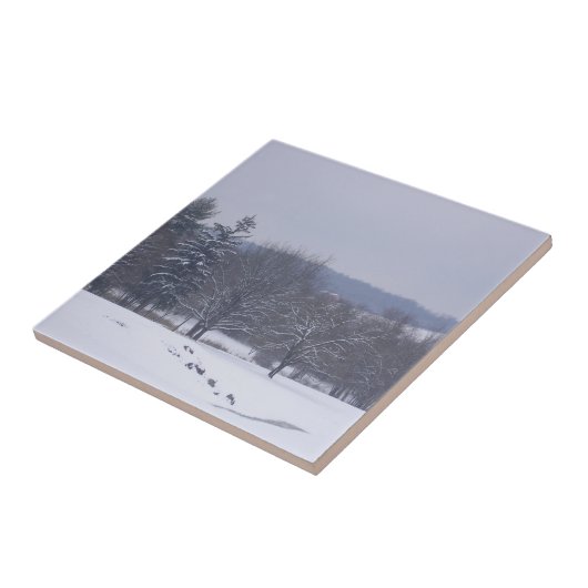 "Boerderij veld" Tegeltje (Zijkant)