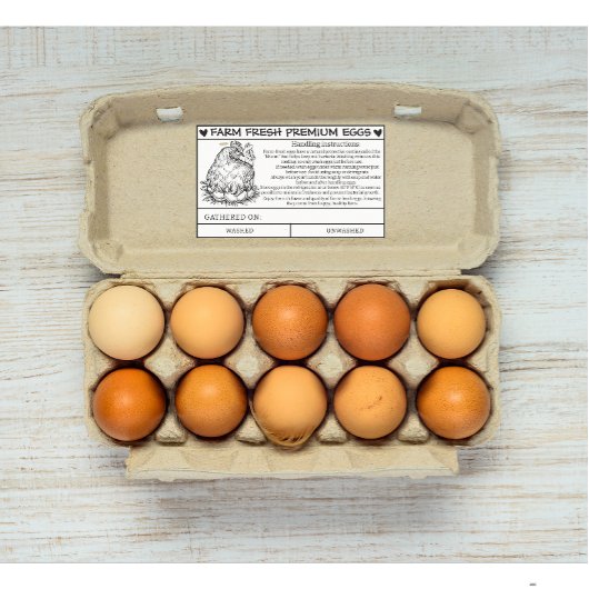 Boerderij Verse eierbehandeling en verzorgingskaar Rechthoekige Sticker