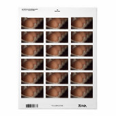 Boerderij verse eieren etiket (Full Sheet)