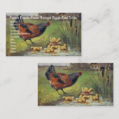 Boerderij verse eieren van vrije uitloop, voor ver visitekaartje (Voorkant / Achterkant)