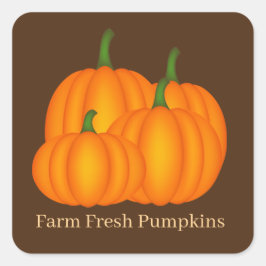 Boerderij verse pompoen verkopers woord kunst vierkante sticker