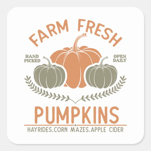 Boerderij verse pompoenen | met de hand geplukt vierkante sticker (Voorkant)