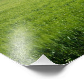 Boerderij villa met cypersbomen in Toscane Foto Afdruk (Hoek)