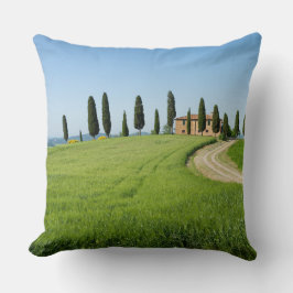 Boerderij villa met cypersbomen in Toscane Kussen