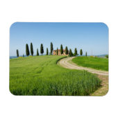 Boerderij villa met cypersbomen in Toscane Magneet (Horizontaal)