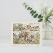 Boerderij Vintage Nederlands kunstwerk Briefkaart (Staand voorkant)